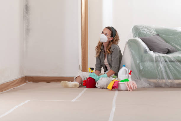 Reliable Mold Remediation contractor in Burlington, MA by WQB Mold Removal